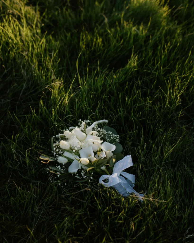 stephanie-hernandez-VuVfmE-s2Ys-unsplash.webp
